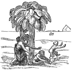 Evidence as to Man's Place in Nature page 9