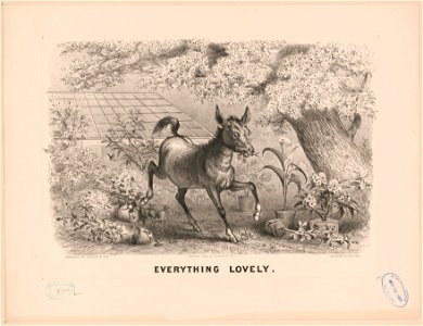Everything lovely LCCN2017660142