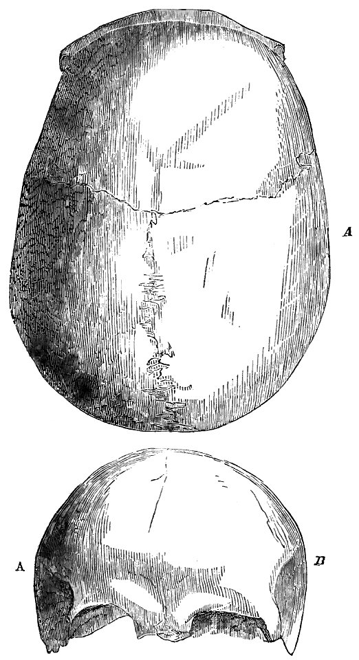 Evidence as to Man's Place in Nature page 147