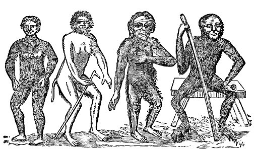 Evidence as to Man's Place in Nature page 22