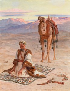 Evening Prayers in the Desert P11500