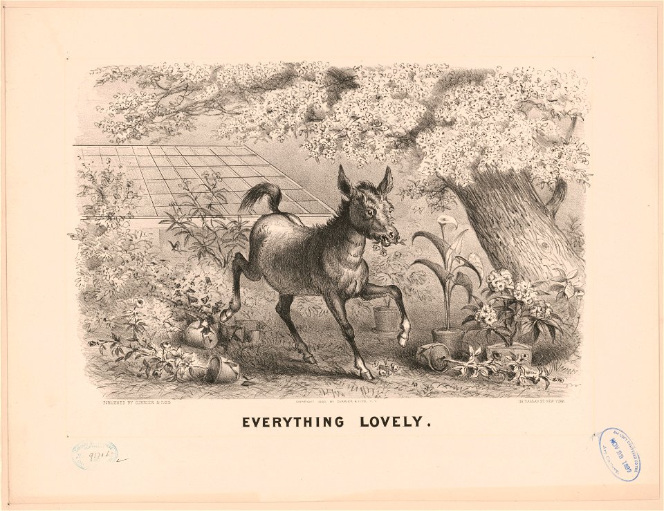 Everything lovely LCCN2017660142