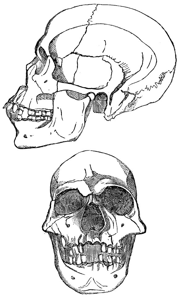 Evidence as to Man's Place in Nature page 170