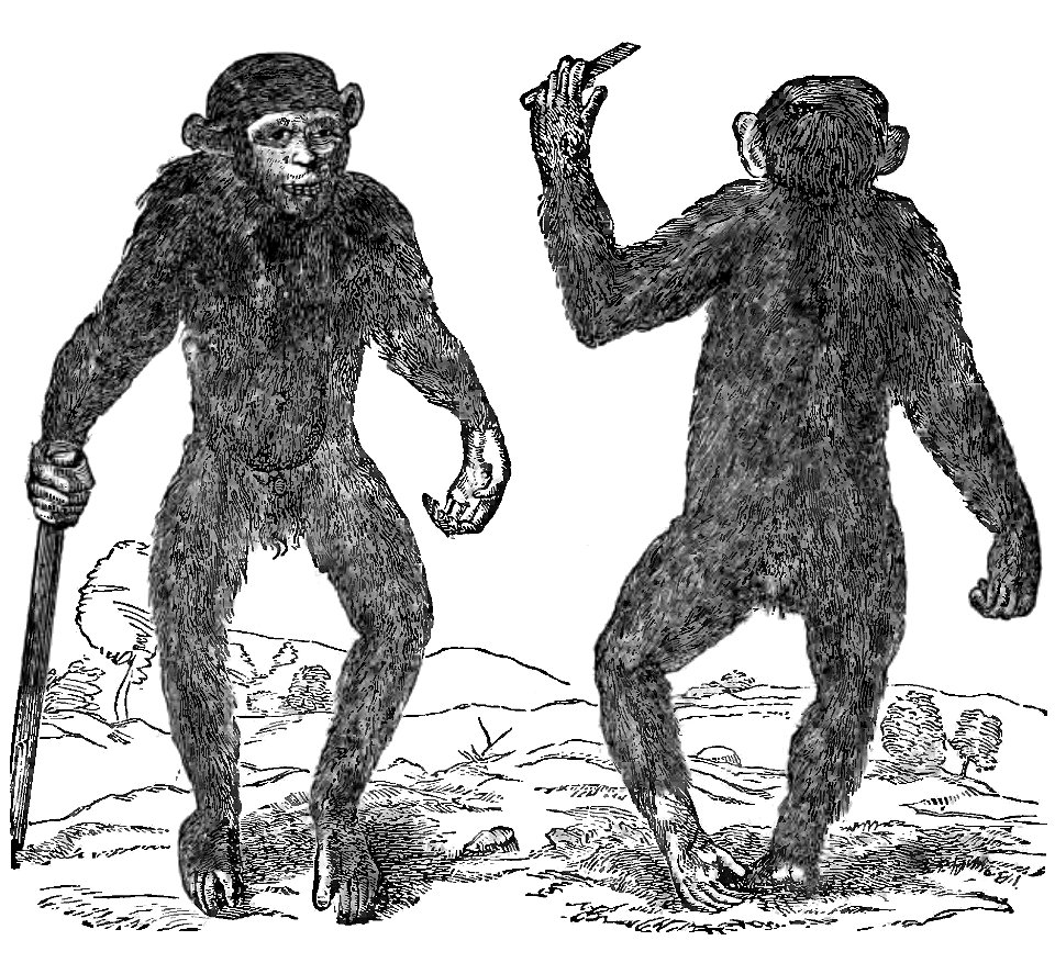 Evidence as to Man's Place in Nature page 18