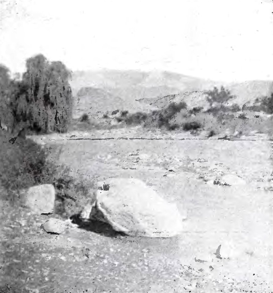 Excursión arqueológica a las ruinas de Kipón (Valle Calchaquí, provincia de Salta) (page 7 crop)