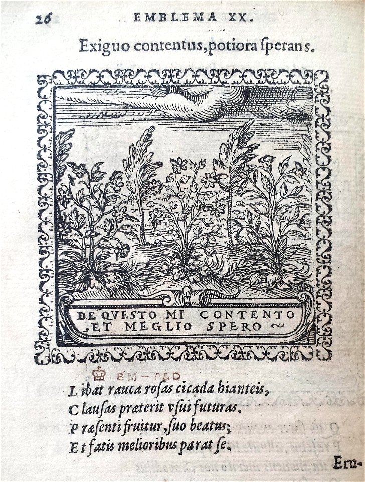 Exiguo contentus, potiora sperans (BM 1972,U.11.20)