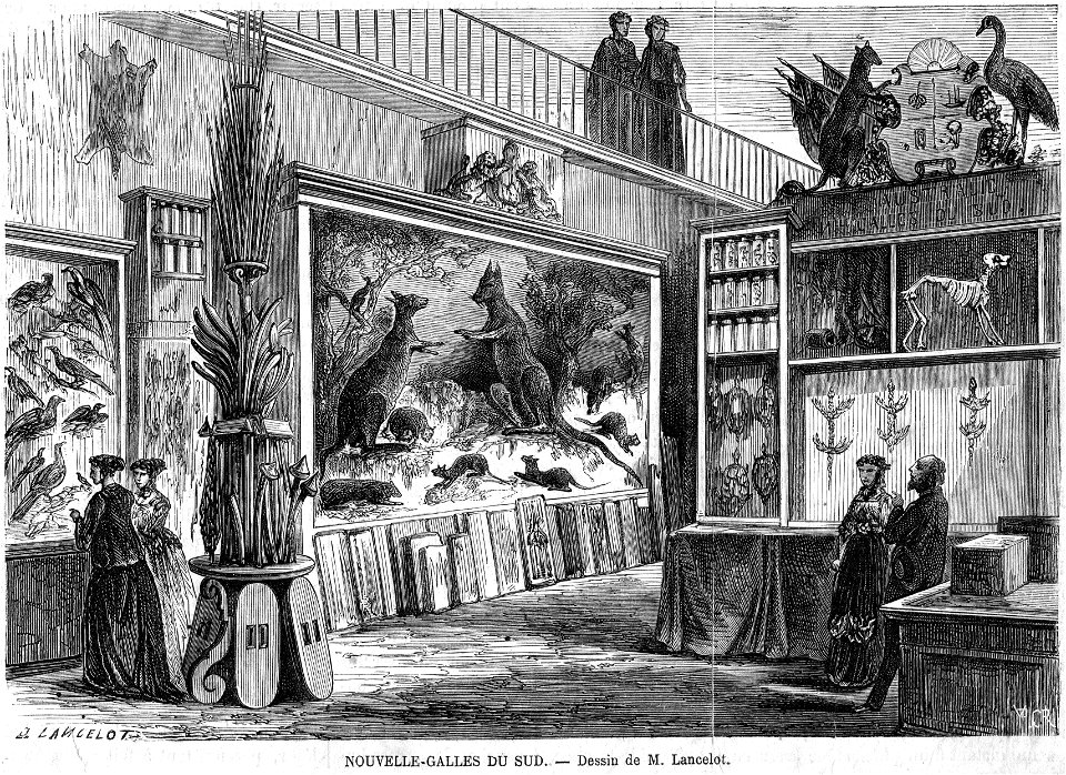 Expo univ 1867 Nouvelle-Galles du Sud par Lancelot