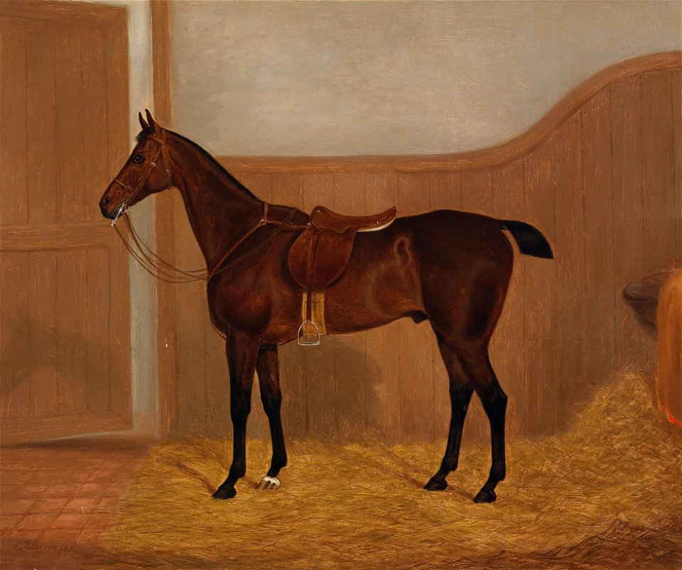 F Clifton Pferdeportrait 2 1883