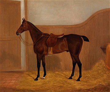 F Clifton Pferdeportrait 2 1883