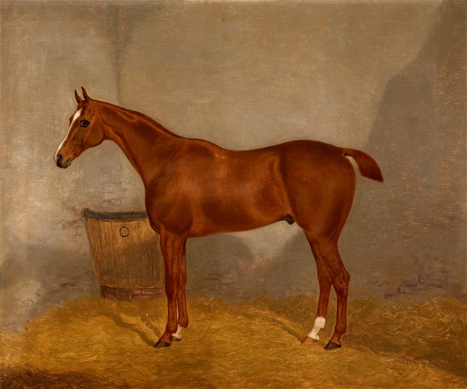 F Clifton Pferdeportrait 1 1883