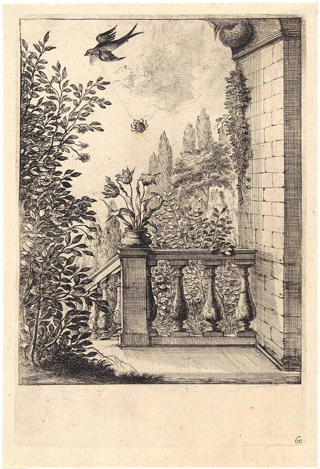Fabel van de spin en de zwaluw