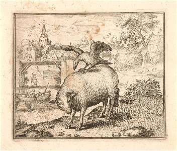 Fabel van het schaap en de kraai