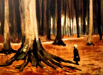 Girl in the Woods - My Dream