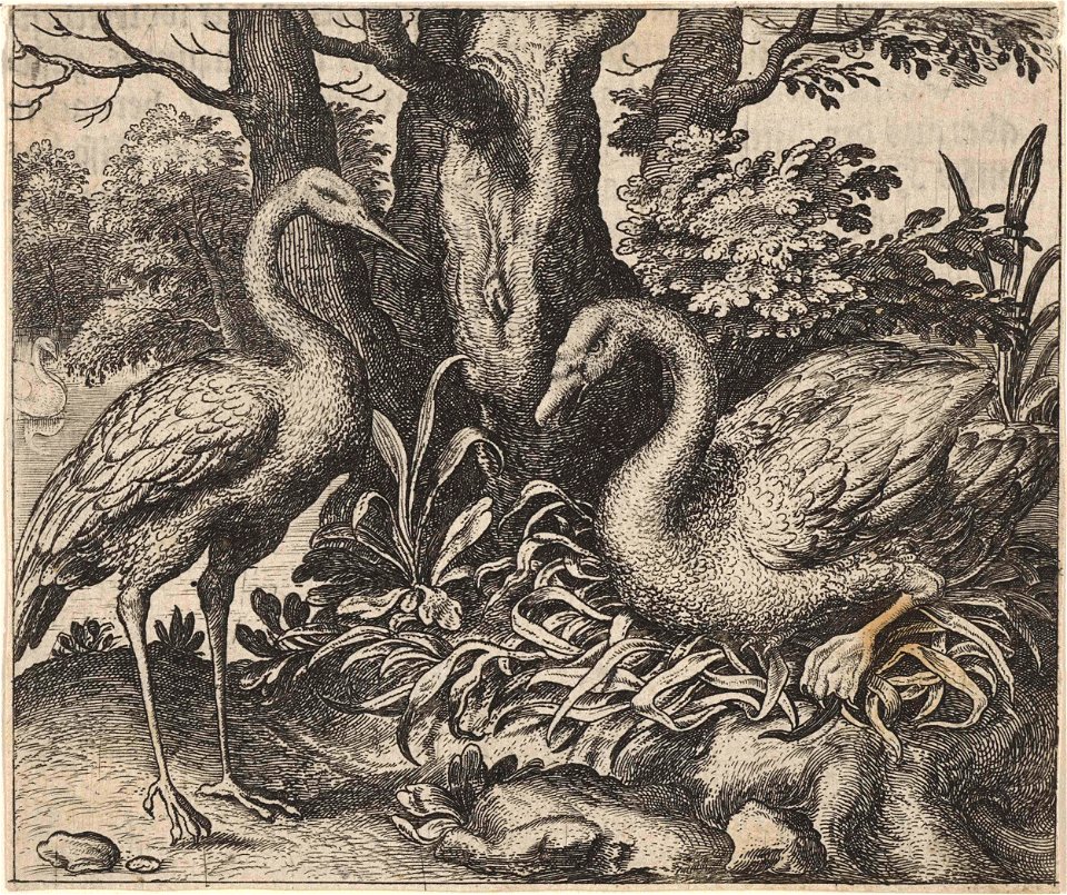 Fabel van de zwaan en de ooievaar