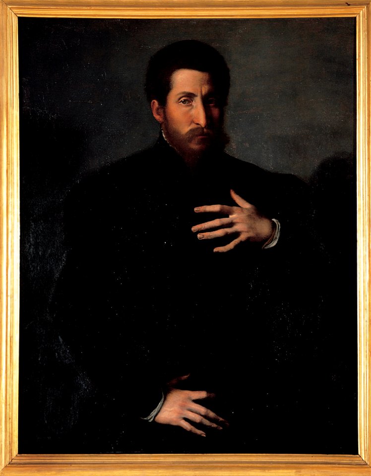Girolamo da Carpi - Portrait of a virile man - Google Art Project