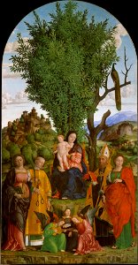 Libri ,Jerome dai Madonna and Child with Saints
