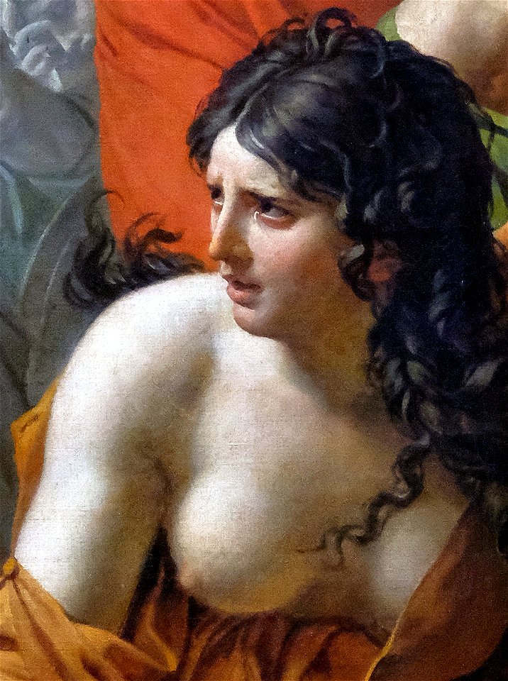 F0442 Louvre JL David Sabines INV3691 detail02 rwk