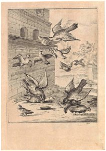 Fabel van de duiven en de havikken. Free illustration for personal and commercial use.