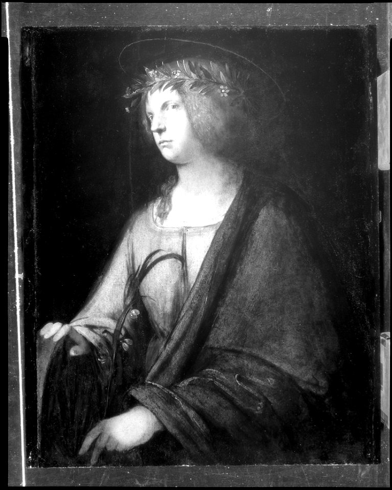 Girolamo Romanino - Saint Catherine of Alexandria - 1962.135 - Fogg Museum