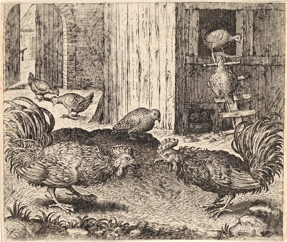 Fabel van de patrijs en de hanen