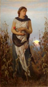 Girl-Poppies-Vedder