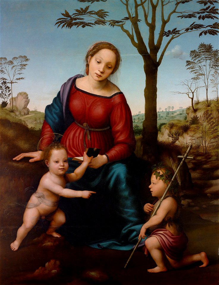 Giuliano Bugiardini - Madonna and Child Seated in a Landscape with Saint John the Baptist - BF.1984.23 - Museum of Fine Arts