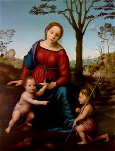 Giuliano Bugiardini - Madonna and Child Seated in a Landscape with Saint John the Baptist - BF.1984.23 - Museum of Fine Arts