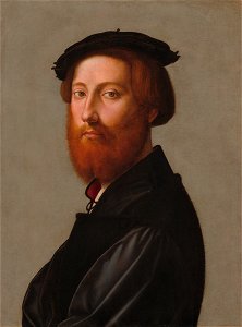 Giuliano Bugiardini - Portrait of Leonardo de' Ginori. Free illustration for personal and commercial use.