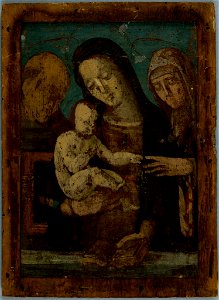 Girolamo del Pacchia - Mystic Marriage of Saint Catherine with Saint Bernardine - 1968.147 - Fogg Museum