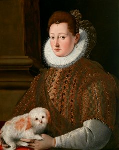 Girolamo Macchietti Bildnis einer Dame mit Schoßhund. Free illustration for personal and commercial use.