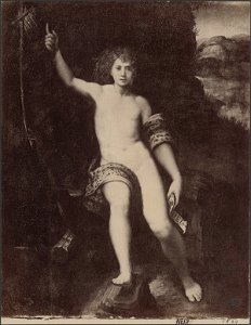 Giulio Romano - St John the Baptist in the Wilderness 42675700