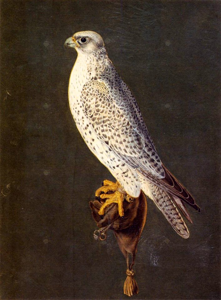 Giuseppe Arcimboldo - Birds - WGA00871