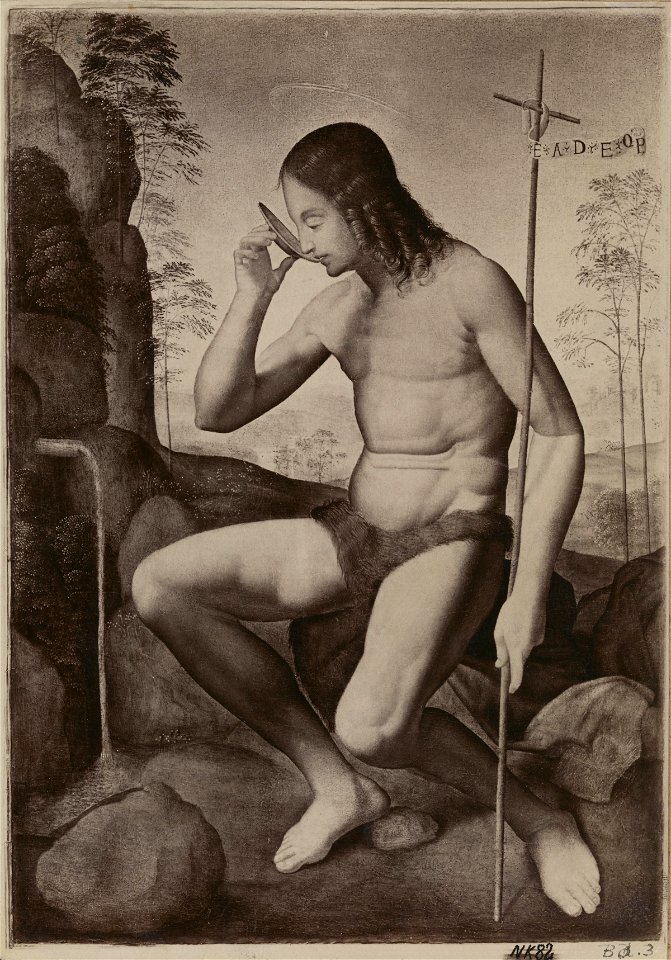 Giuliano Bugiardini - St John in the Wilderness 24944681