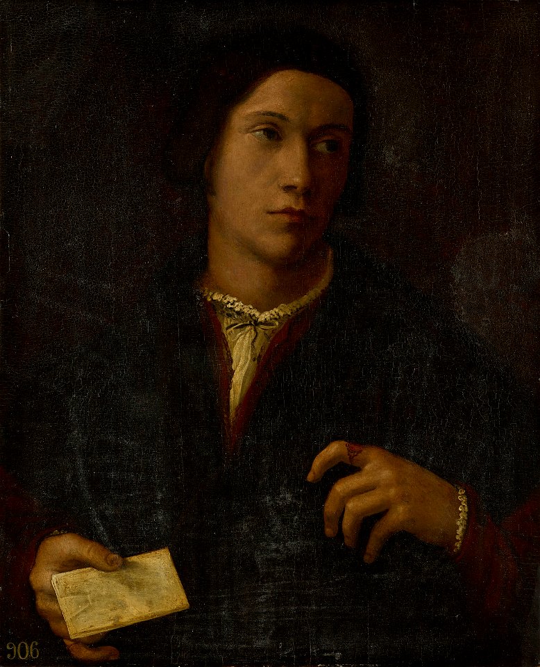 Giulio Campi (1502-72) - Portrait of a Young Man - RCIN 402618 - Royal Collection