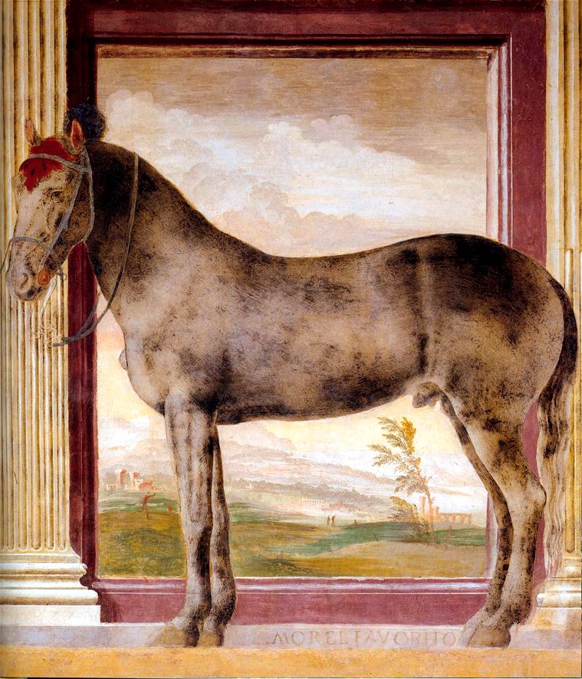 Giulio Romano - The Horse Morel favorito - WGA09588
