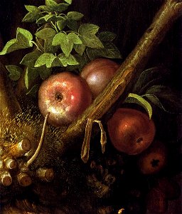 Giuseppe Arcimboldo - The Four Seasons in one Head (detail) - WGA00821