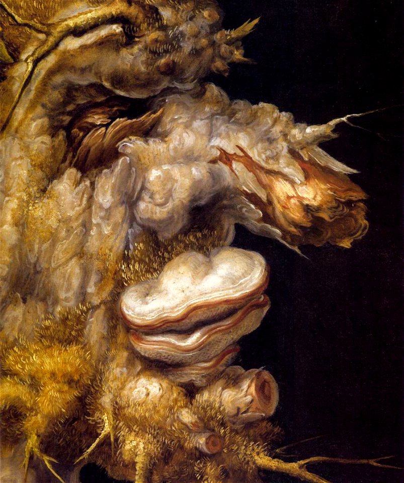 Giuseppe Arcimboldo - Winter (detail) - WGA0809
