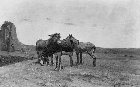 Giuseppe Raggio - Donkeys in the Campagna - RES.11.15 - Museum of Fine Arts