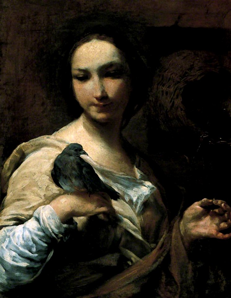 Giuseppe Maria Crespi (1665-1747) - Girl Holding a Dove - 1955P112 - Birmingham Museums Trust
