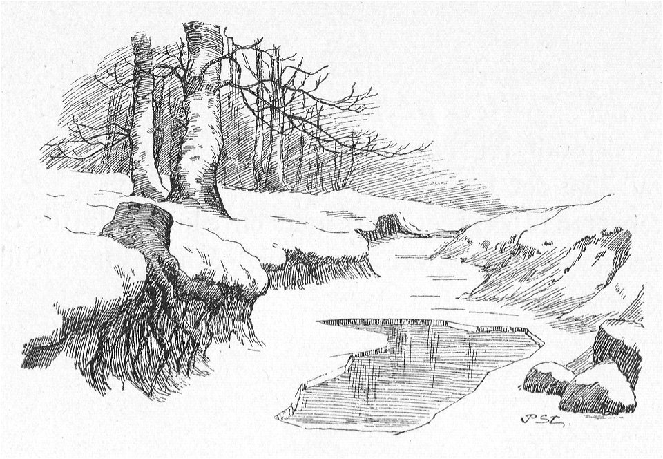 Gjøngehøvdingen 088