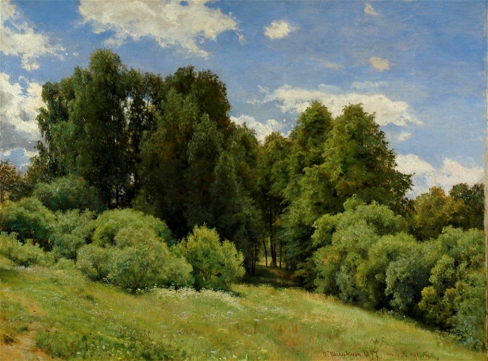 Glade (Shishkin)
