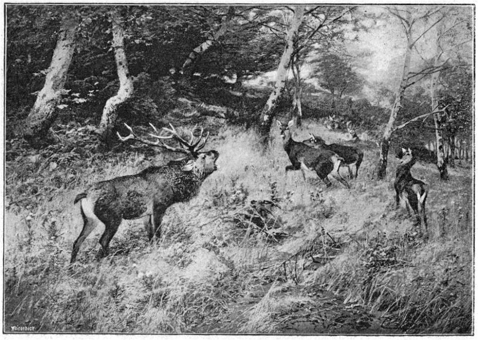 Glaspalast München 1891 063