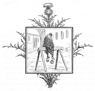 Gjøngehøvdingen 087