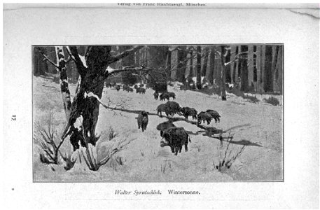 Glaspalast München 1898 017