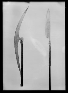 Glaive, drabantkuse, kejsar Ferdinand IIs hov, 1620, Tysk-Romerska riket - Livrustkammaren - 52315