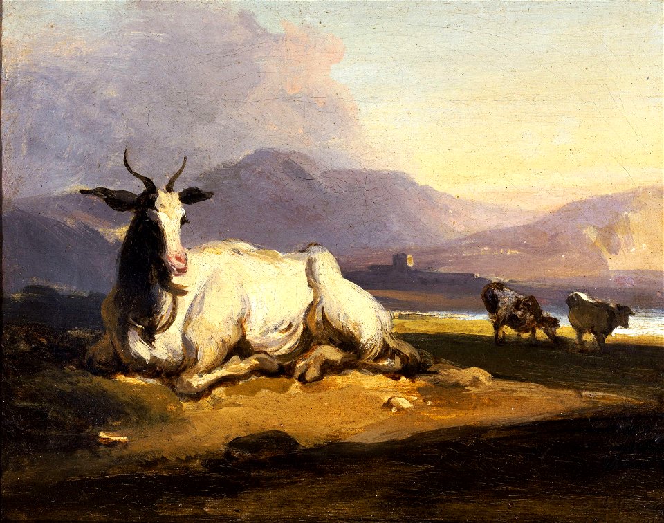 Goat in an Indian landscape