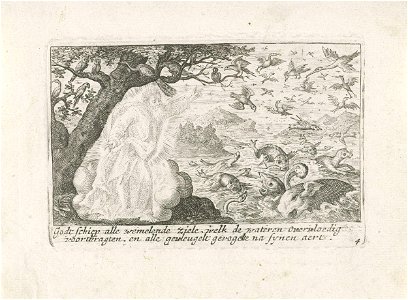 God schept de vissen en de vogels
