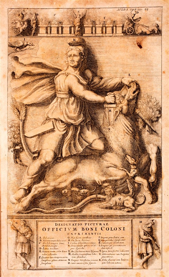 Goderfredus-Christianus-Leiserus-Jus-georgicum MG 1247