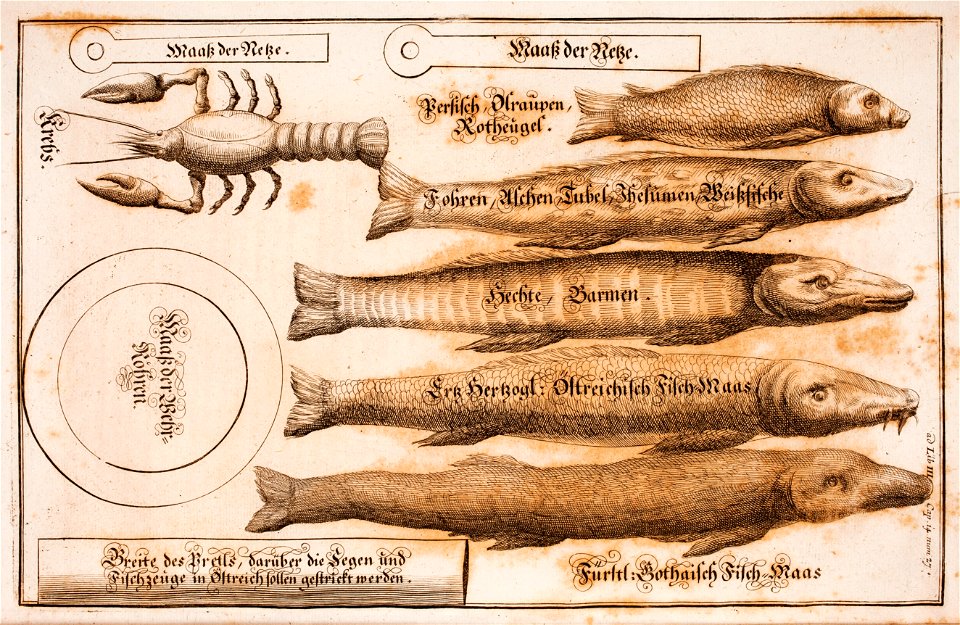 Goderfredus-Christianus-Leiserus-Jus-georgicum MG 1251