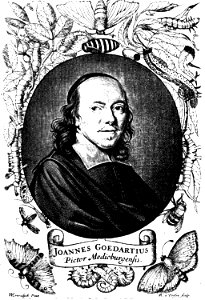 Jan Goedart 1620-1668